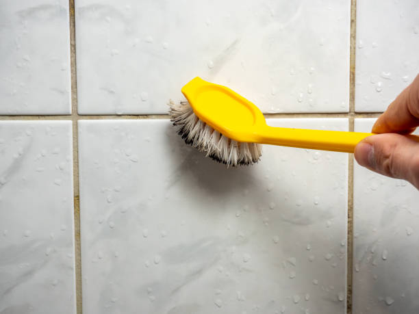 Reliable Marco Island, FL Mold Removal Solutions