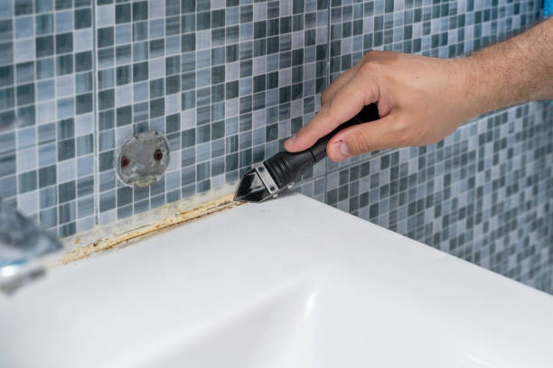 Best Mold Remediation Experts  in Marco Island, FL